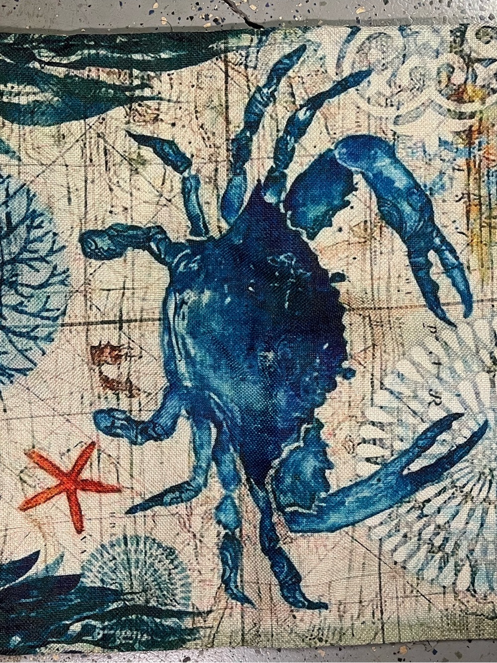 5 Throw Pillow (Covers) Coastal Ocean Octopus Seahorse Crab Whale Turtle 17x17 - Picture 5 of 6